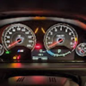 Meet your Posher, Bobby